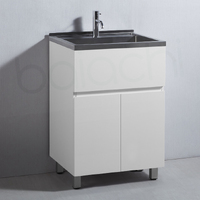 Baiachi 27L PVC Water Proof Laundry Cabinet Stainless Steel Handmade Sink 550*350*870mm