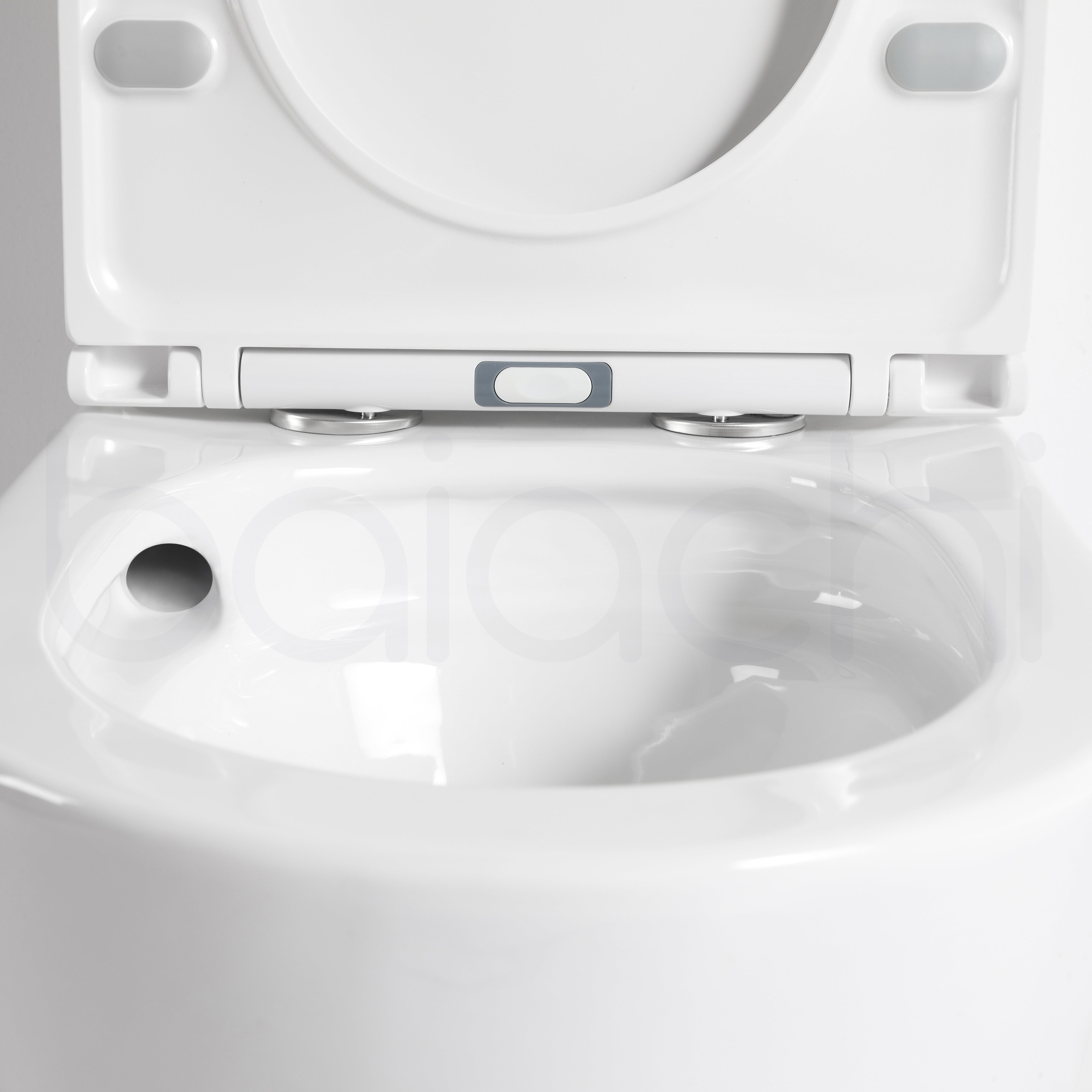 Baiachi Lora Tornado Rimless Quiet Flush Toilet Suite