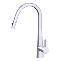 Otus Lux Pull-Out Kitchen And Laundry Sink Mixer Chrome