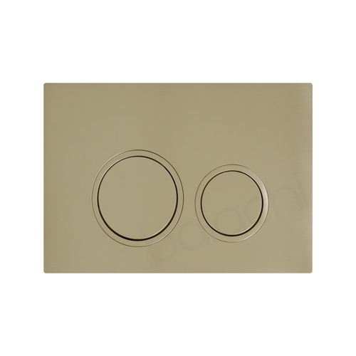 Round In-Wall Toilet Dual Flushing Buttons Brushed Gold